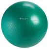 Gaiam Total Body Balance Ball Kits (55CM)