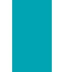 Dohler USA Dohler Solid Beach Towel 40" X 76"