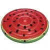 WET PRODUCTS Watermelon Island Float